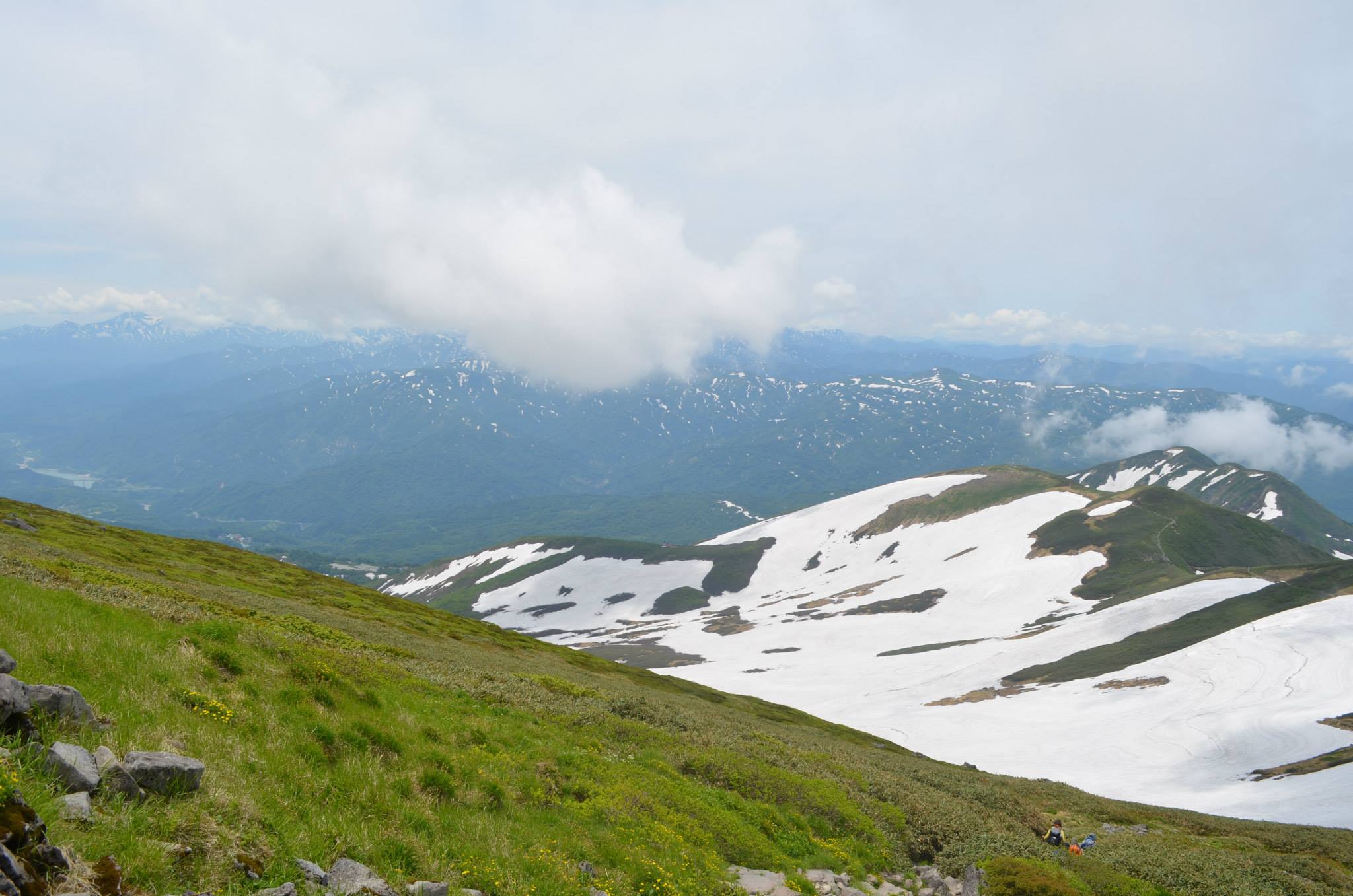 10482002_730251060354096_3139718486941009515_o