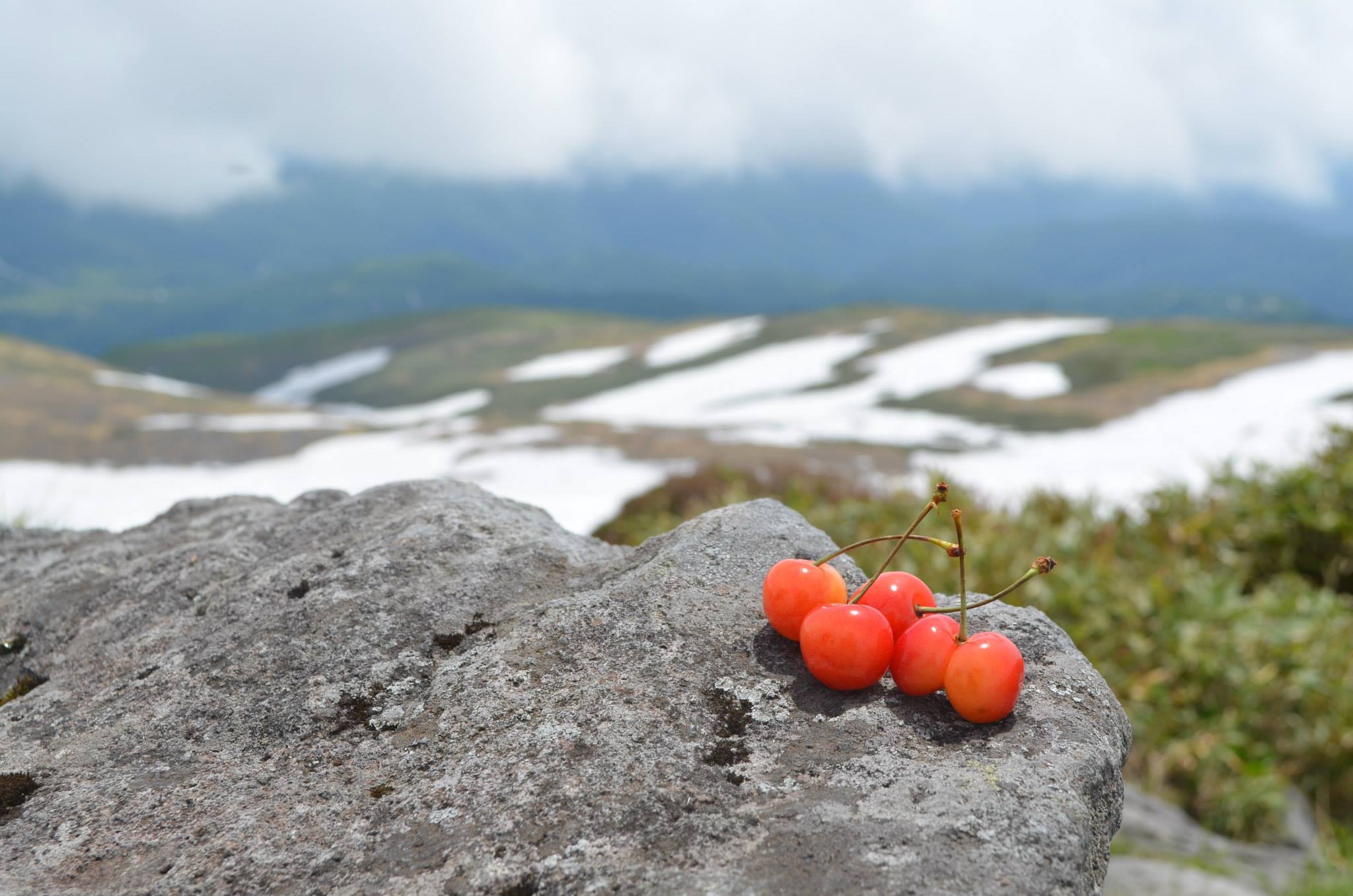 10514318_730250873687448_8629552065326492871_o