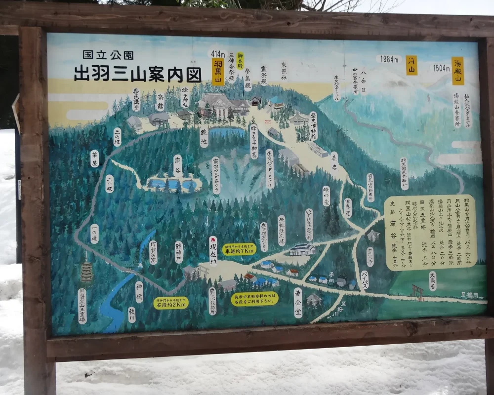 DSC01892 (2)