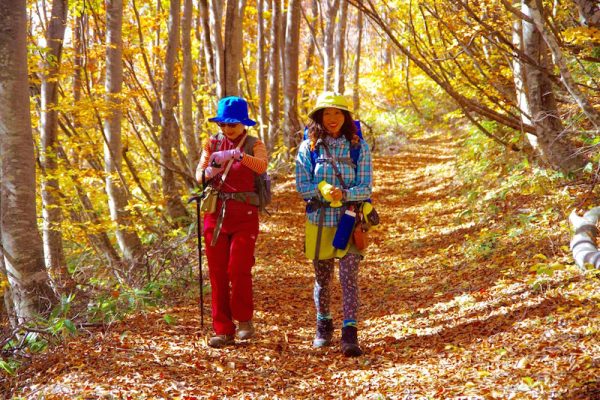 出羽三山的古道・六十里越街道5日遊 5月~11月